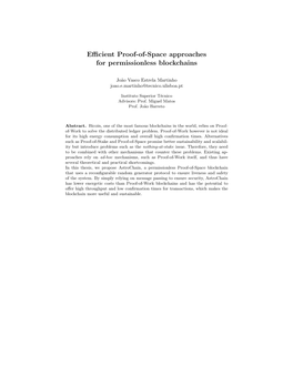 Efficient Proof-Of-Space Approaches for Permissionless Blockchains