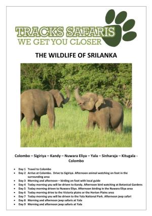 THE WILDLIFE of SRILANKA Colombo