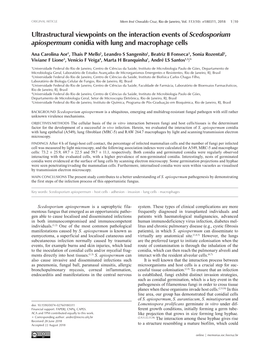 Ultrastructural Viewpoints on the Interaction Events of Scedosporium Apiospermum Conidia with Lung and Macrophage Cells