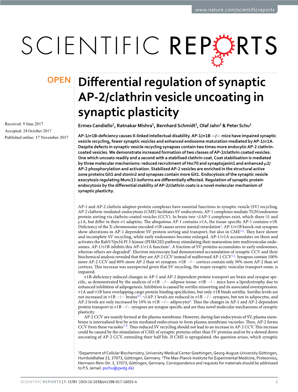 Differential Regulation of Synaptic AP-2/Clathrin Vesicle Uncoating In