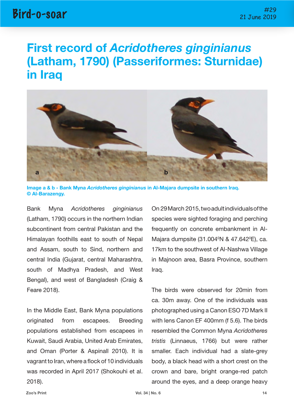 (Passeriformes: Sturnidae) in Iraq