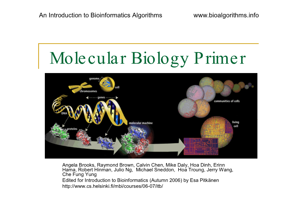 Molecular Biology Primer