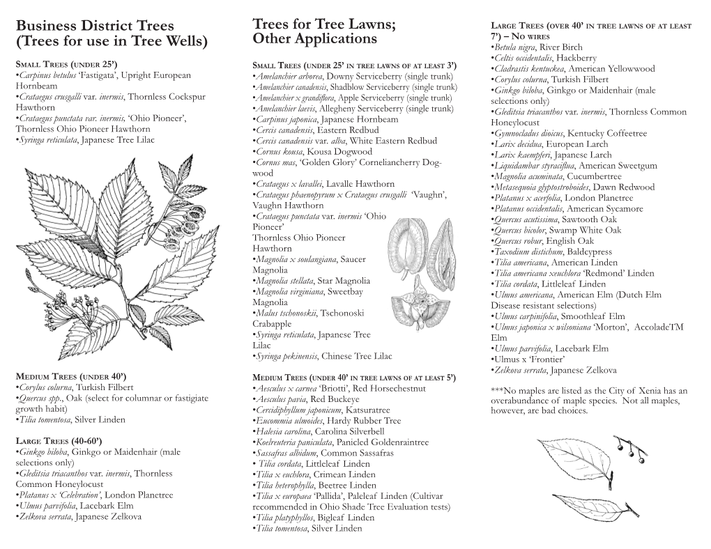 Trees for Use in Tree Wells