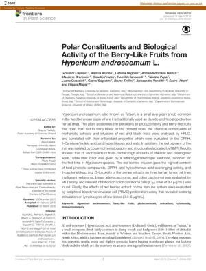 Polar Constituents and Biological Activity of the Berry-Like Fruits from Hypericum Androsaemum L