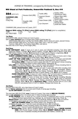 HORSE in TRAINING, Consigned by Ed Dunlop Racing Ltd