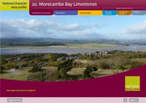 20. Morecambe Bay Limestones Area Profile: Supporting Documents