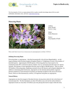 Flowering Plants Topics in Biodiversity