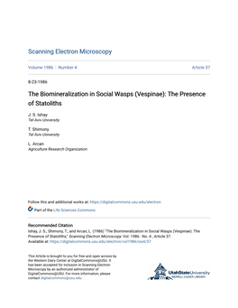 The Biomineralization in Social Wasps (Vespinae): the Presence of Statoliths