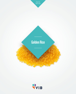 Facts About Golden Rice