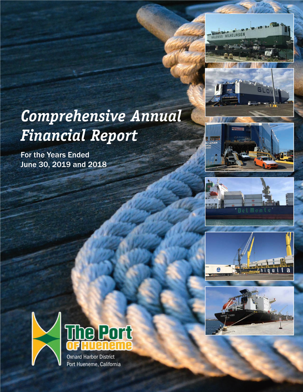 Comprehensive Annual Financial Report for the Years Ended June 30, 2019 and 2018