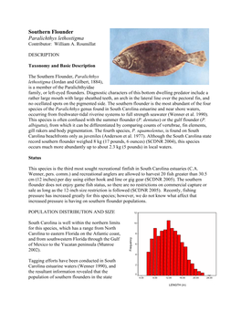 Southern Flounder Paralichthys Lethostigma SC Dept