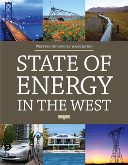 Western Governors' Association Report “Ten Year Energy Plan 2013”
