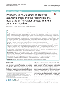 Phylogenetic Relationships of †Luisiella Feruglioi