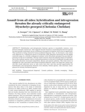 Assault from All Sides: Hybridization and Introgression Threaten the Already Critically Endangered Myuchelys Georgesi (Chelonia: Chelidae)