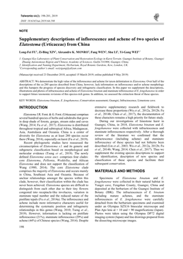 Supplementary Descriptions of Inflorescence and Achene of Two Species of Elatostema (Urticaceae) from China