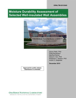 Moisture Durability Assessment of Selected Well-Insulated Wall Assemblies