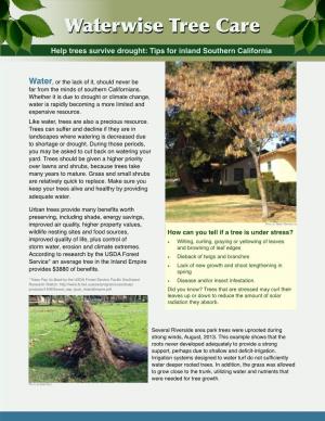 Waterwise Tree Care