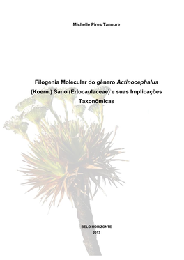 Filogenia Molecular Do Gênero Actinocephalus (Koern.) Sano (Eriocaulaceae) E Suas Implicações