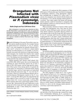 Plasmodium Vivax Or P. Cynomolgi
