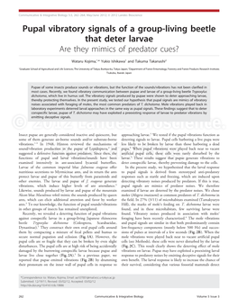 Pupal Vibratory Signals of a Group-Living Beetle That Deter Larvae Are They Mimics of Predator Cues?