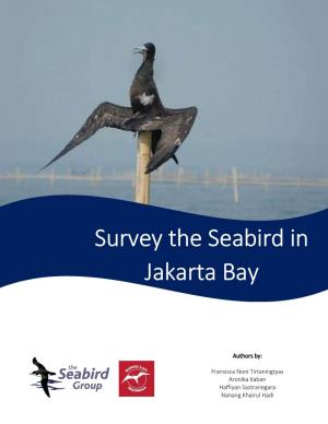 Survey the Seabird in Jakarta