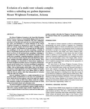 Evolution of a Multi-Vent Volcanic Complex Within a Subsiding Arc Graben Depression: Mount Wrightson Formation, Arizona