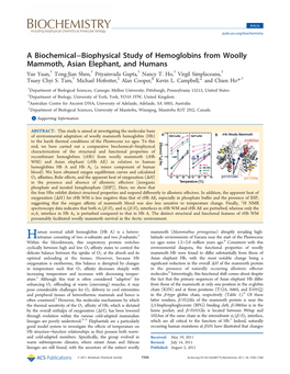A Biochemical−Biophysical Study of Hemoglobins from Woolly Mammoth, Asian Elephant, and Humans † † † † † Yue Yuan, Tong-Jian Shen, Priyamvada Gupta, Nancy T