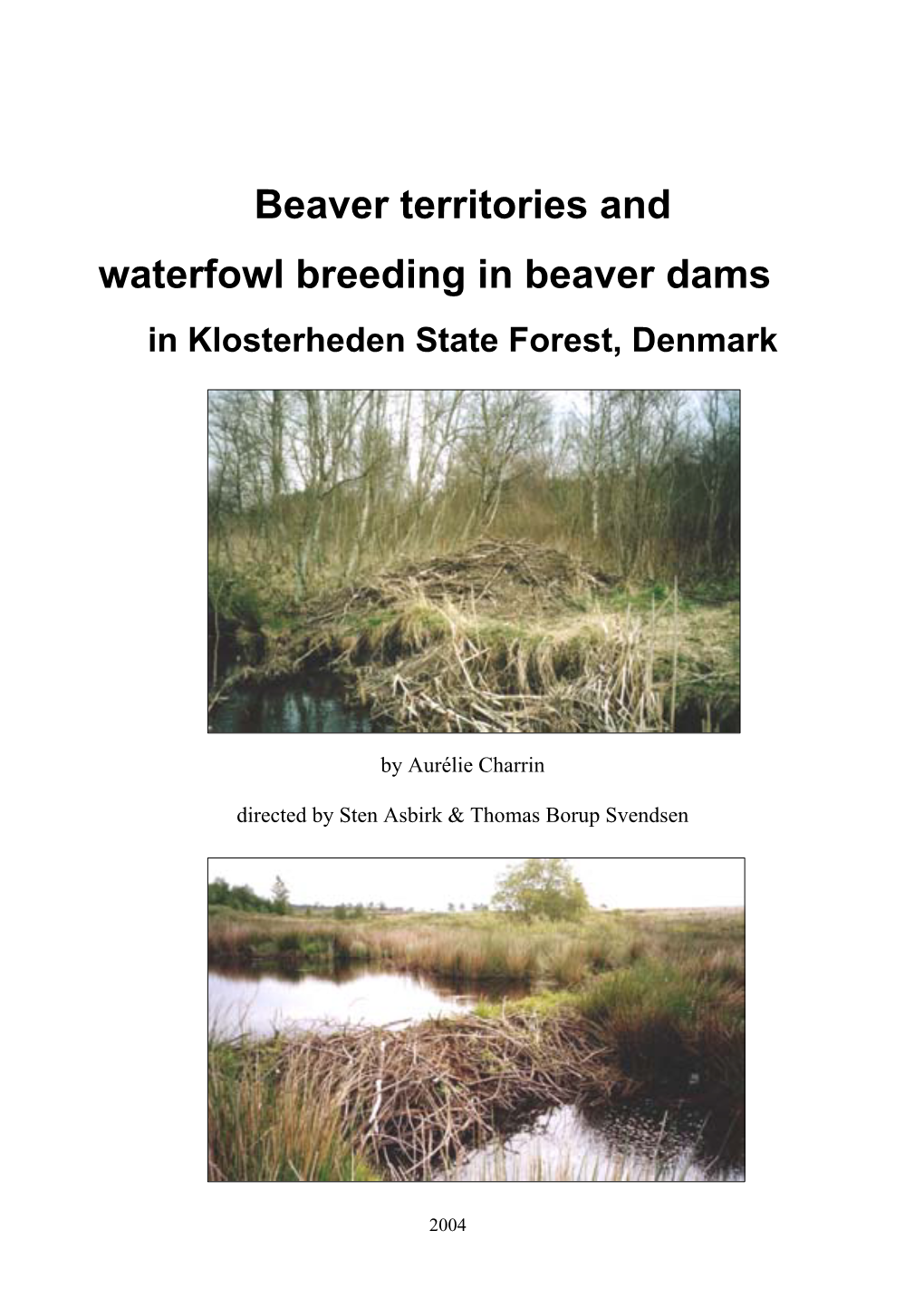 Beaver Territories and Waterfowl Breeding in Beaver Dams in Klosterheden State Forest, Denmark