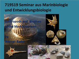 719519 Seminar Aus Marinbiologie Und Entwicklungsbiologie