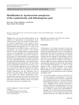 Identification in Agrobacterium Tumefaciens of the D-Galacturonic Acid Dehydrogenase Gene