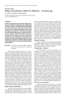 Biology and Cultivation of Black Ear Mushroom – Auricularia Spp. R