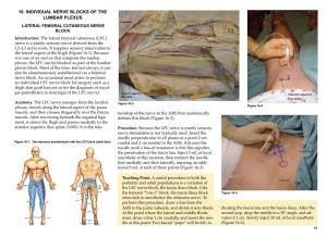 Chapter 16 – Individual Nerve Blocks of the Lumbar Plexus