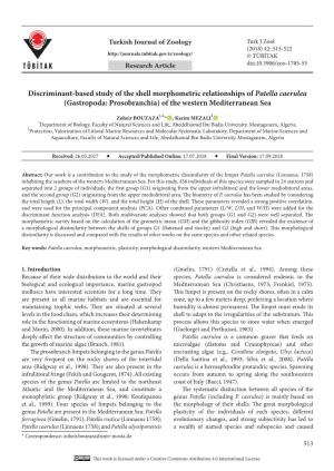 Discriminant-Based Study of the Shell Morphometric Relationships of Patella Caerulea (Gastropoda: Prosobranchia) of the Western Mediterranean Sea