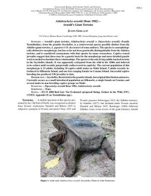Aldabrachelys Arnoldi (Bour 1982) – Arnold's Giant Tortoise