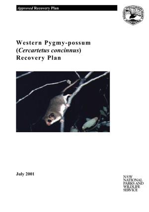 Western Pygmy Possum