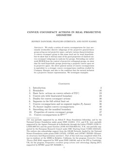 Convex Cocompact Actions in Real Projective Geometry