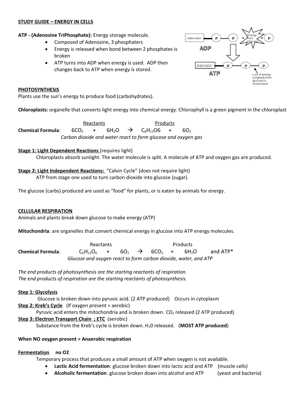 Student Exploration Sheet: Growing Plants s13