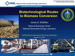 Biotechnological Routes to Biomass Conversion
