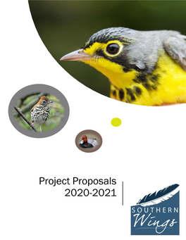 Project Proposals 2020-2021