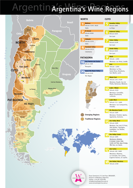Argentina's Wine Regions