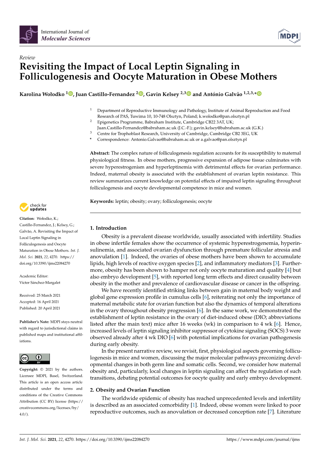 Revisiting the Impact of Local Leptin Signaling in Folliculogenesis and Oocyte Maturation in Obese Mothers