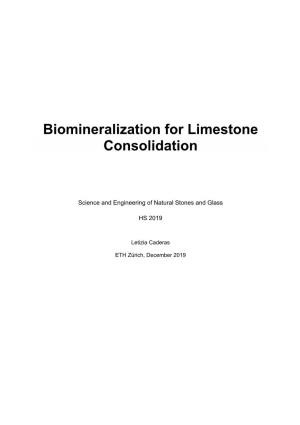 Biomineralization for Limestone Consolidation