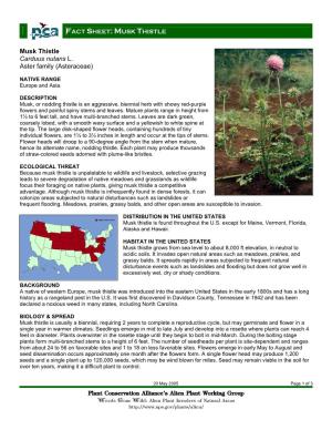 Plant Conservation Alliance®S Alien Plant Working Group Musk Thistle Carduus Nutans L. Aster Family (Asteraceae)