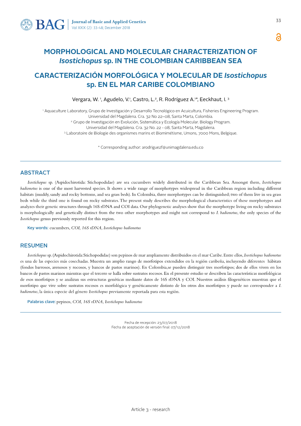 MORPHOLOGICAL and MOLECULAR CHARACTERIZATION of Isostichopus Sp. in the COLOMBIAN CARIBBEAN SEA CARACTERIZACIÓN MORFOLÓGICA Y