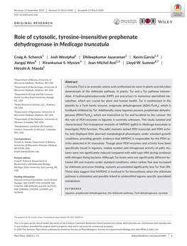 Role of Cytosolic, Tyrosine‐Insensitive Prephenate Dehydrogenase in Medicago Truncatula