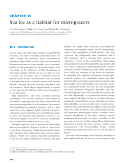 Sea Ice As a Habitat for Micrograzers