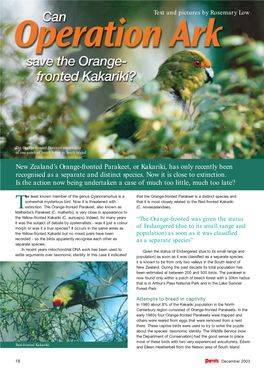 New Zealand's Orange-Fronted Parakeet, Or Kakariki, Has Only
