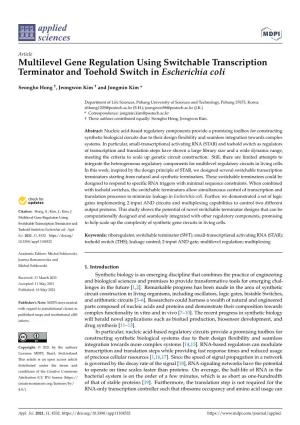 Multilevel Gene Regulation Using Switchable Transcription Terminator and Toehold Switch in Escherichia Coli