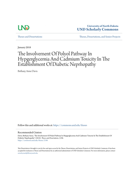 The Involvement of Polyol Pathway in Hypgerglycemia and Cadmium Toxicity in the Establishment of Diabetic Neprhopathy