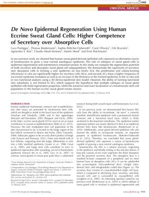 De Novo Epidermal Regeneration Using Human Eccrine Sweat Gland